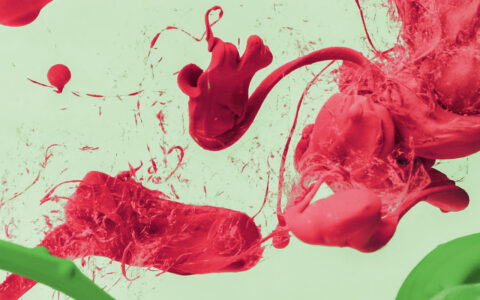 PHP-Entwickler-m-w-d