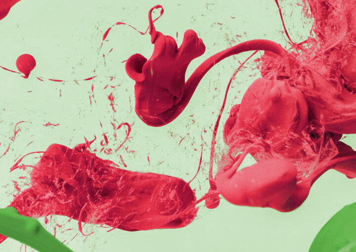 PHP-Entwickler-m-w-d